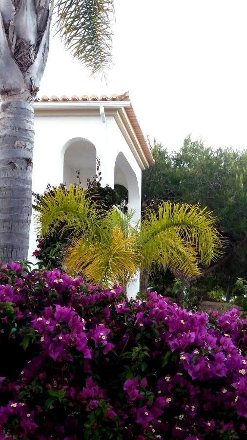 Queen Palm Praia Da Luz Exterior foto